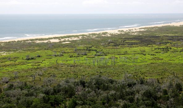 A view of the Outer Banks in North Carolina, coastline from up high.