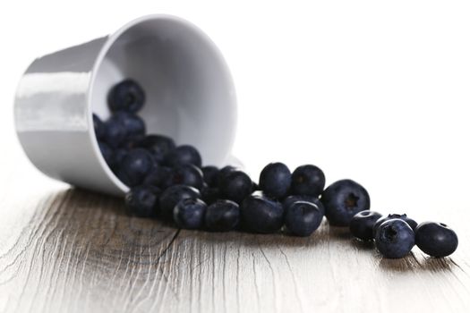 blueberries rolling from a fell over cup with backlight