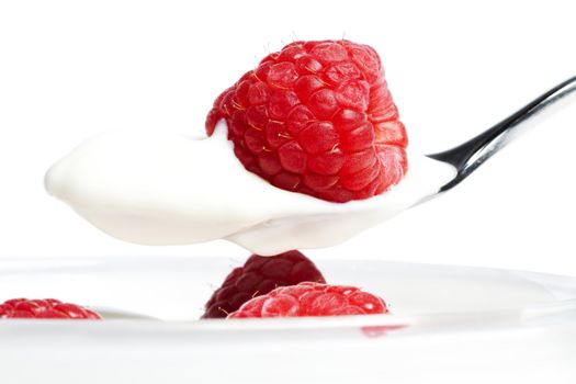closeup of a raspberry on a spoon with yogurt over a dessert with raspberries on white background