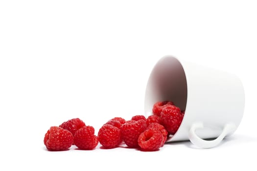 raspberries rolling from a fell over cup on white background