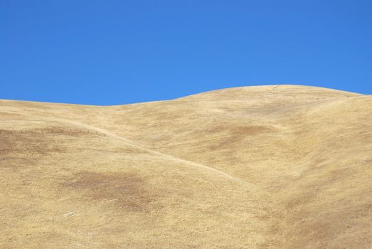 Dry grass on the hill against clear blue sky.