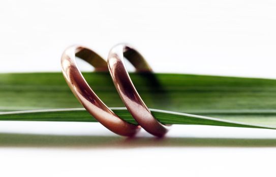 Two wedding rings on a green sheet