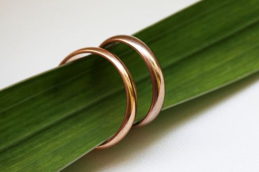 Two wedding rings on a green sheet