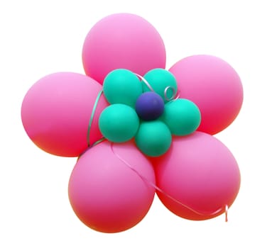 Pink Balloon Flower isolated with clipping path      