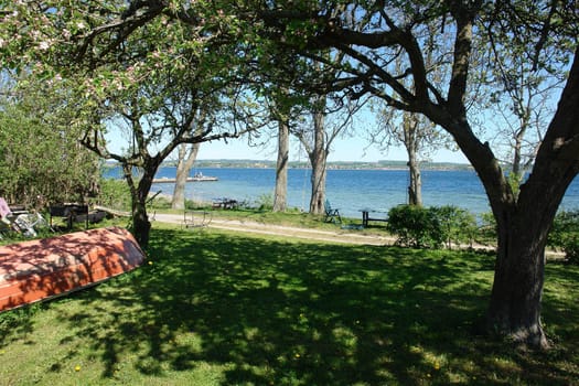 Magnificent seascape view from the shore between the trees