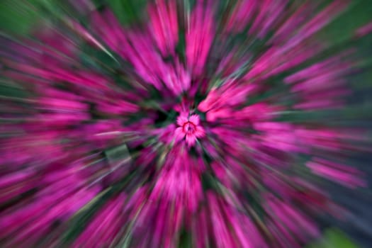 Flower blowing-up of zoom effect
