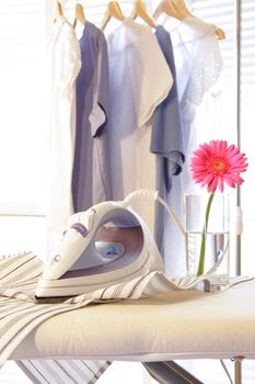 Iron with flower on ironing board in sunny room