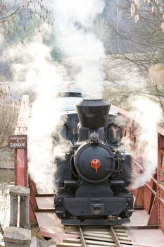 last day of service of CKD steam locomotive n. 5 (1.4.2008), Ciernohronska Railway, Slovakia