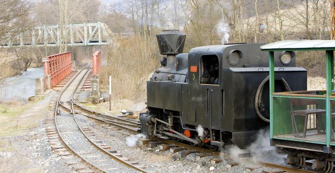 last day of service of CKD steam locomotive n. 5 (1.4.2008), Ciernohronska Railway, Slovakia
