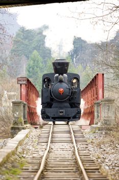 last day of service of CKD steam locomotive n. 5 (1.4.2008), Ciernohronska Railway, Slovakia