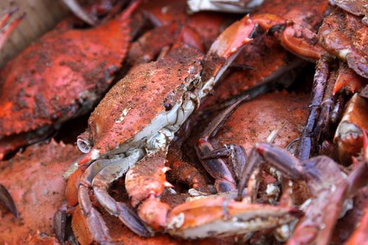 A pile of hot and dirty crabs, covered in seasoning.