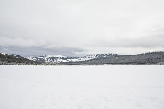 Snowy winter landscape at Lake Tahoe, California