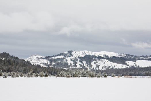 Snowy winter landscape at Lake Tahoe, California