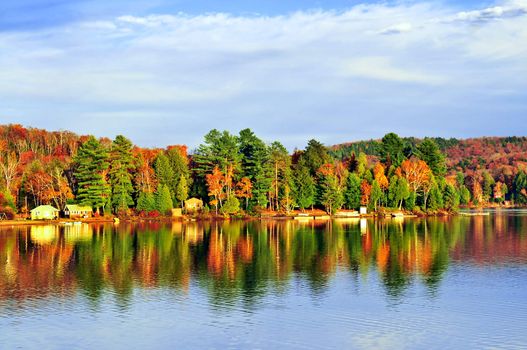 Forest of colorful autumn trees reflecting in calm lake