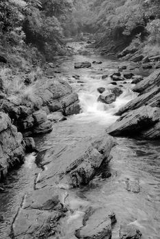 It is a beautiful river flow over the forest.