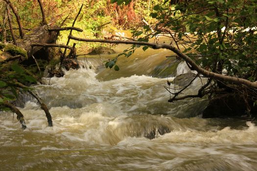 Stream in the forest in Norway. Upstream there is an old closed power plant