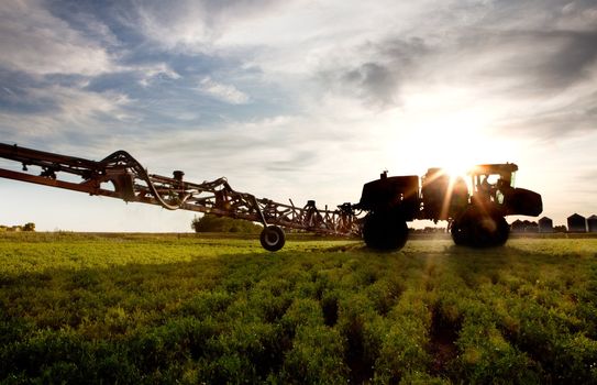 A silhouette of a high clearance sprayer on a field