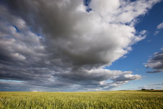 A prairie landscape with a dramatic cloudscape