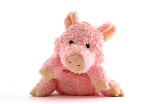 pink stuffed piglet isolated against white background