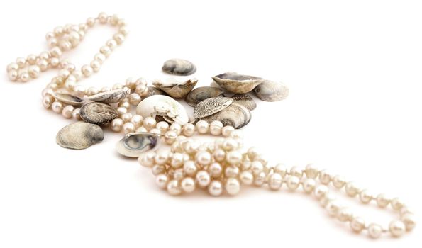 shells and pearls isolated against white background