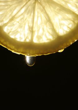 detail of a lemon slice with juice drop