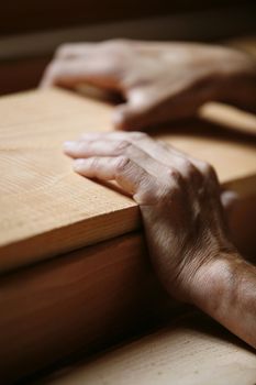 male hands holding a piece of wood