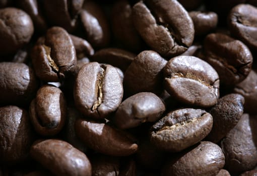close-up of roasted coffee beans