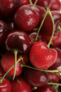 pile of fresh cherries with water drops