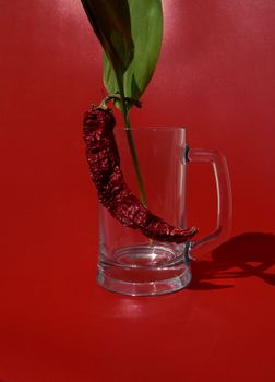 Pub mug with bitter pepper on red background,