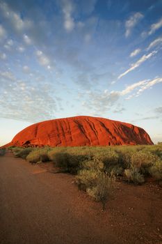 Uluru (Ayers Rock) early in the morning as the sun turns it bright red.
