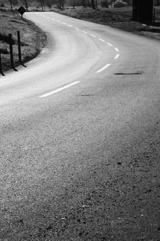 Winding road in a park on a sunny day.