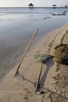 Two rakes in the sand at the water's edge on a tropical island in the Gulf of Mexico.