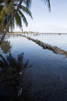 Palm trees line the quiet shore of a small tropical island off the coast of Belize.