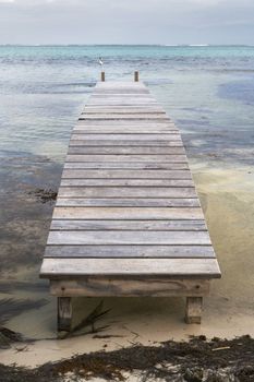 A new, small wooden pier juts out into the water from the beach in the Gulf of Mexico.