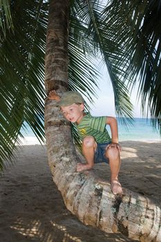 Boy on palm tree on a beach