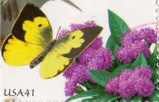 UNITED STATES - CIRCA 2007: stamp printed by United states, shows Butterfly, circa 2007