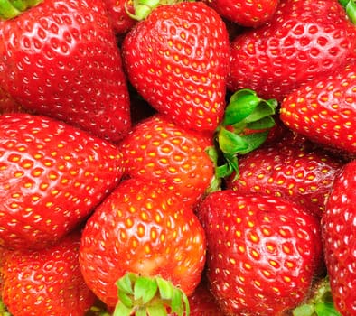 Closeup of a pile of fresh strawberries as a beautiful fruit background