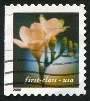 UNITED STATES - CIRCA 2000: stamp printed by United states, shows flower, circa 2000