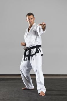 An image of a martial arts master