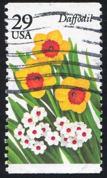 UNITED STATES - CIRCA 2001: stamp printed by United states, shows flower, circa 2001