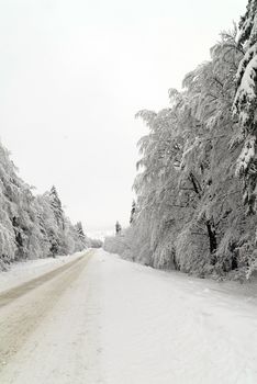 Traffic road in frost and snow, mountain, forest