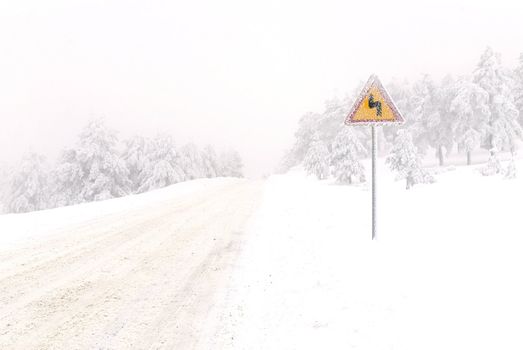 Traffic road sign in frost and snow