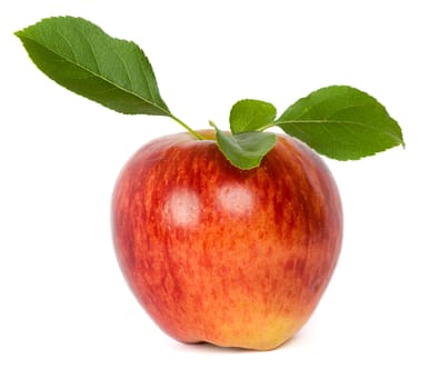  ripe fresh red apple with leaf isolated on white
