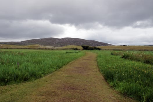 path and track through the countryside in county kerry ireland