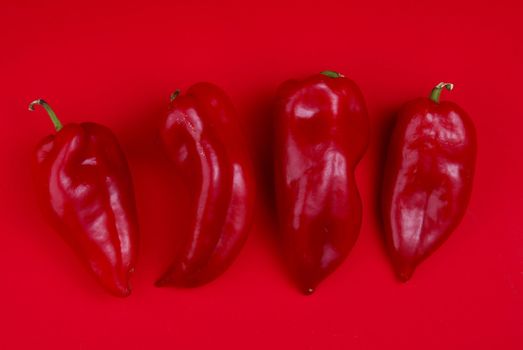 Red Peppers on red background, group of wegetables