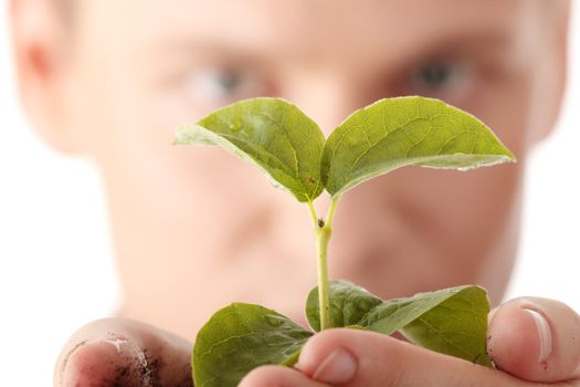 Businessman in dark suit holding smal plant in his hands - growth concept