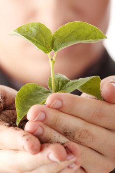 Businessman in dark suit holding smal plant in his hands - growth concept