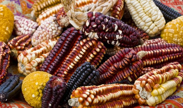 Different types of corn on a market in Peru