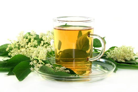 a cup of Elderflower tea with fresh flowers