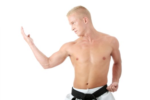 Taekwondo fighter isolated on white background